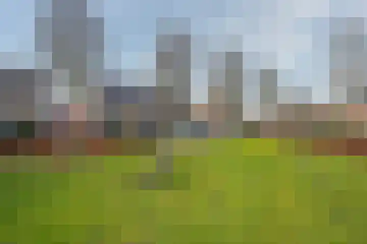 Leopold Haffmansstraat 5 Horst thumbnail 38
