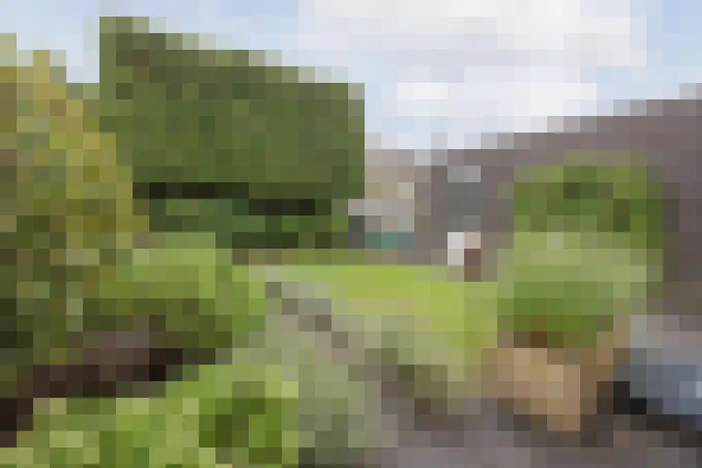 Leopold Haffmansstraat 54 Horst thumbnail 33
