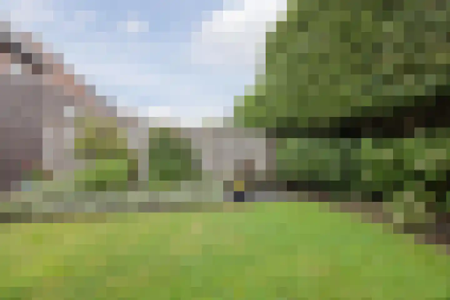 Leopold Haffmansstraat 54 Horst thumbnail 35
