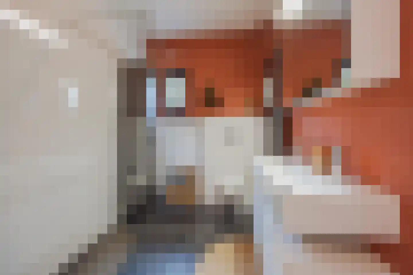 Leopold Haffmansstraat 54 Horst thumbnail 6
