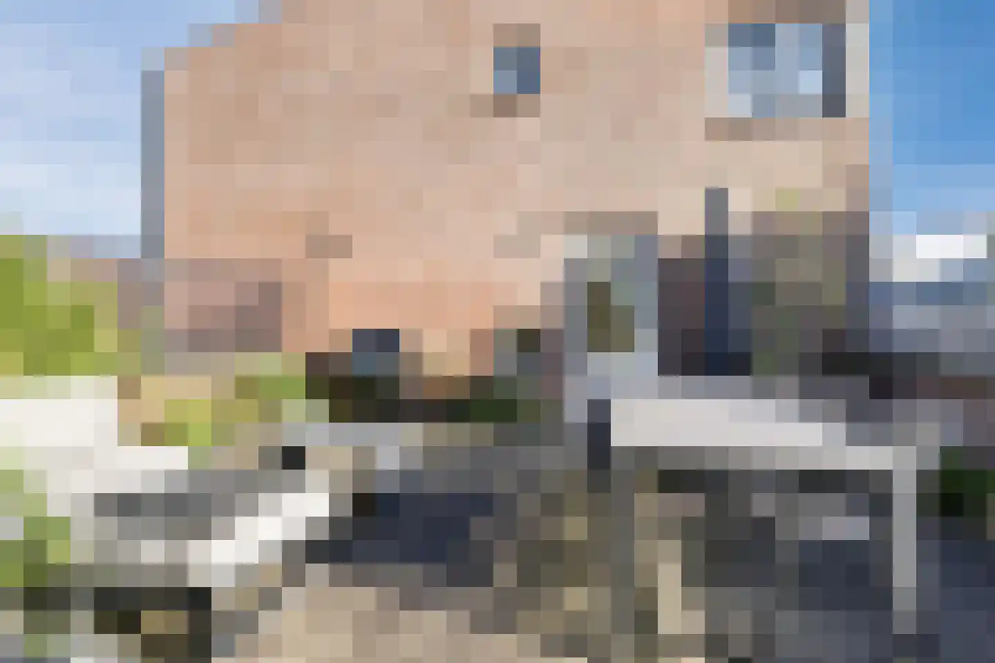 Leopold Sondagstraat 5 Oosterhout thumbnail 35