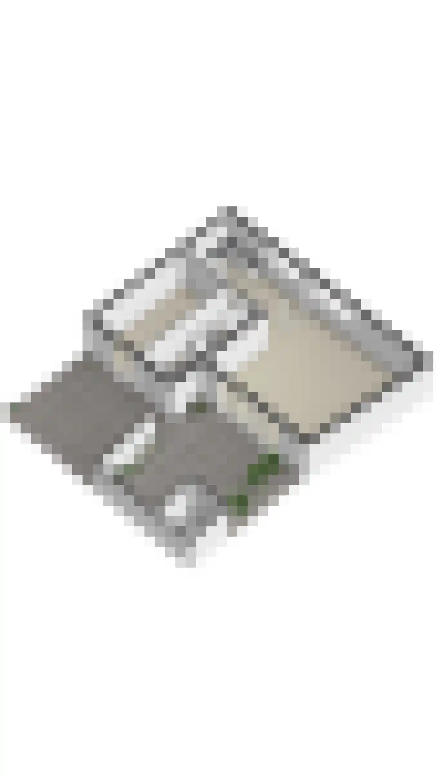 Leopold Sondagstraat 5 Oosterhout thumbnail 54