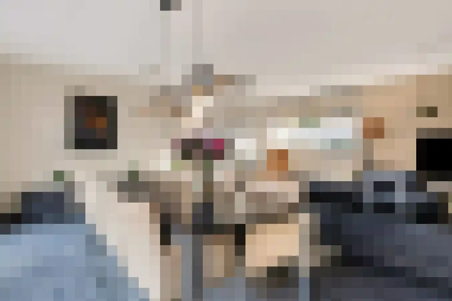 Leopold Sondagstraat 5 Oosterhout thumbnail 6