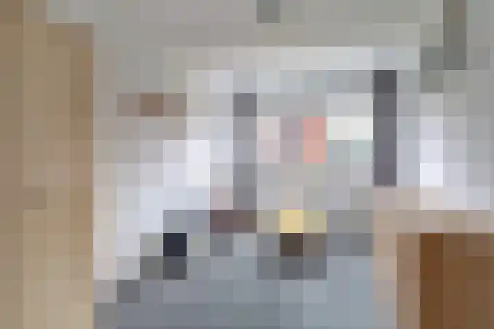 Leopold Sondagstraat 6 Oosterhout thumbnail 16