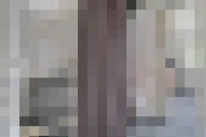 Leopold Sondagstraat 6 Oosterhout thumbnail 18