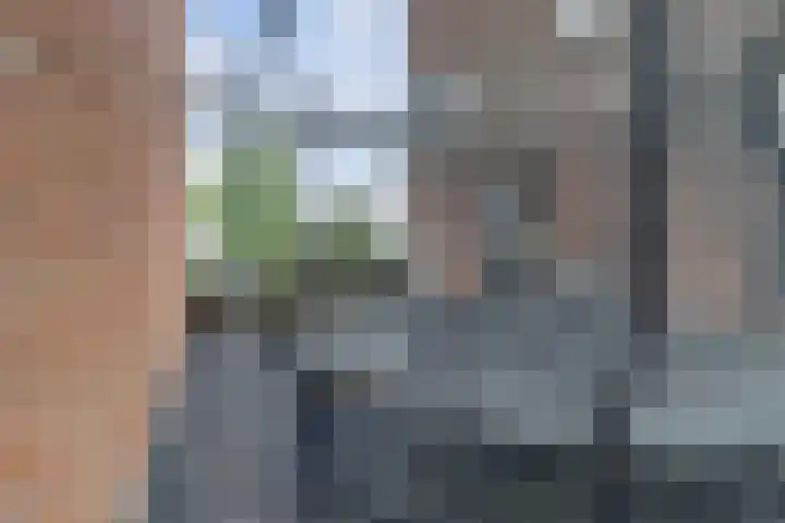 Leopold Sondagstraat 6 Oosterhout thumbnail 32