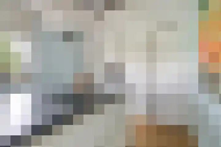 Leopold Sondagstraat 6 Oosterhout thumbnail 8