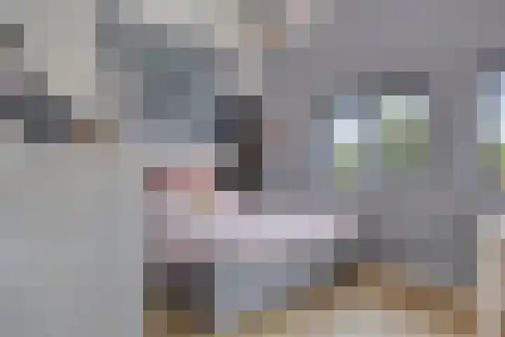 Leopold Sondagstraat 9 Oosterhout thumbnail 24
