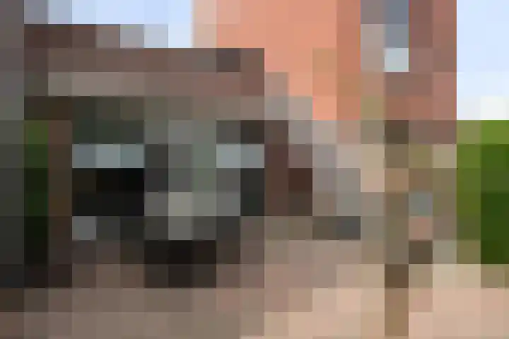 Leopold Sondagstraat 9 Oosterhout thumbnail 28