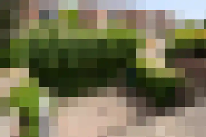 Leopold Sondagstraat 9 Oosterhout thumbnail 33