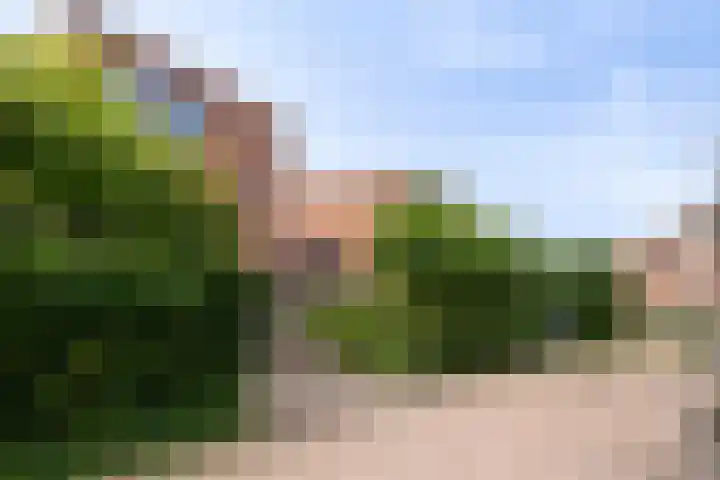 Leopold Sondagstraat 9 Oosterhout thumbnail 5