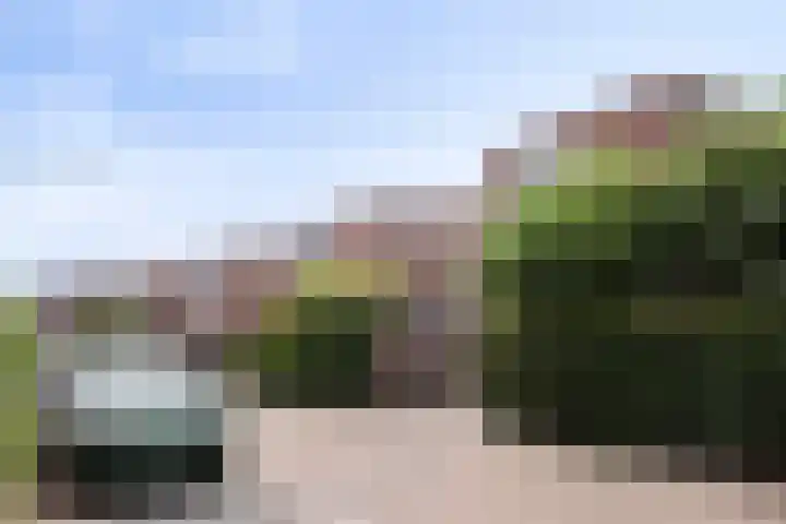 Leopold Sondagstraat 9 Oosterhout thumbnail 6