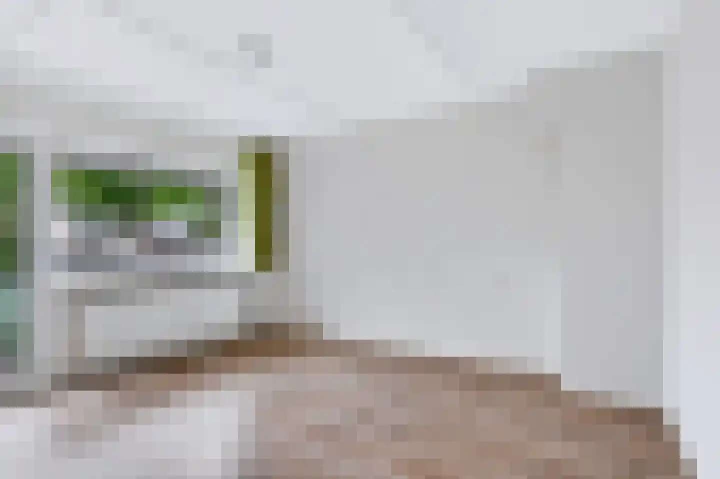 Leopoldlaan 30 Nunspeet thumbnail 17
