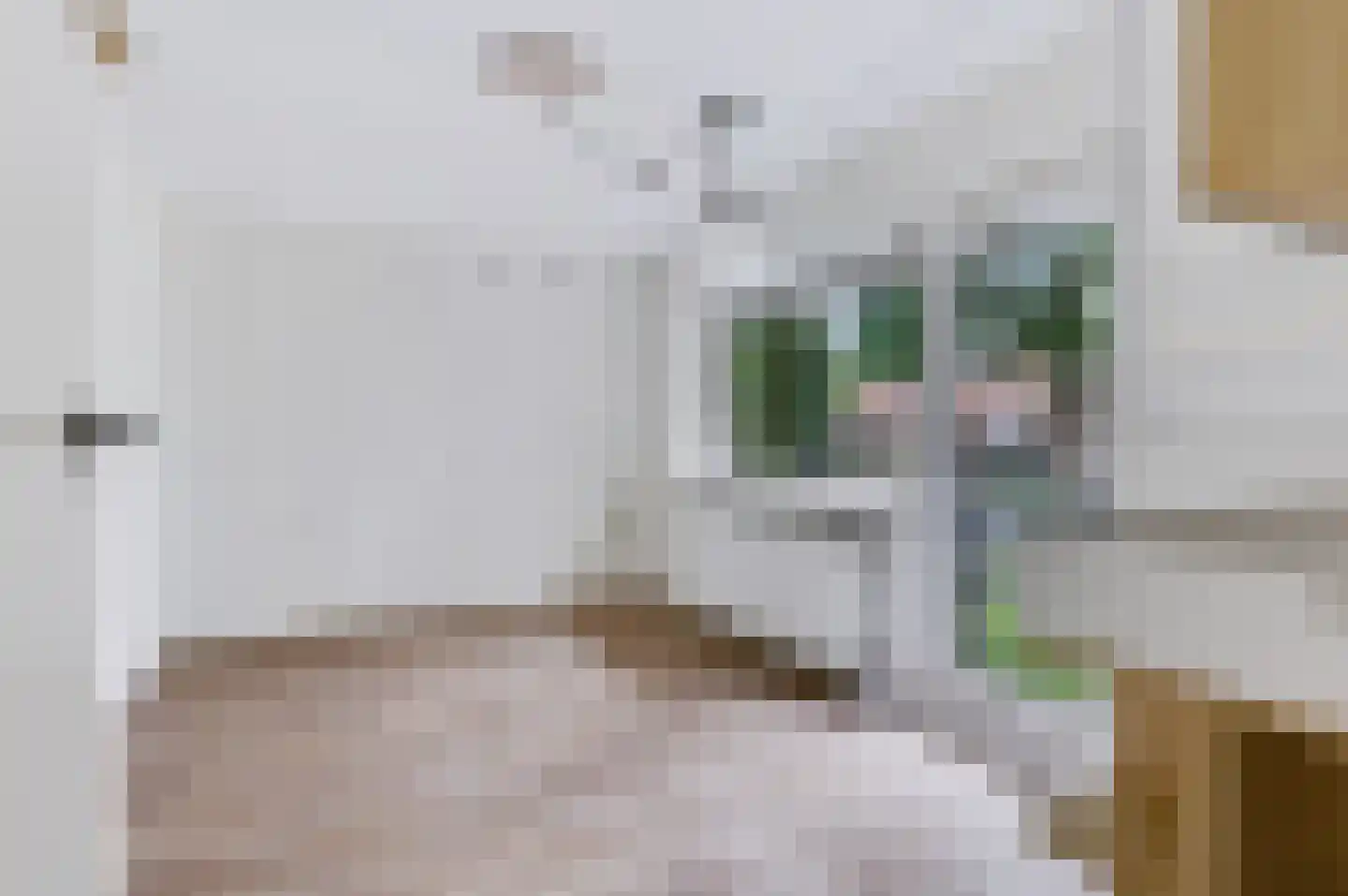 Leopoldlaan 30 Nunspeet thumbnail 19