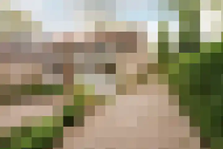 Leopoldlaan 43 Nunspeet thumbnail 29