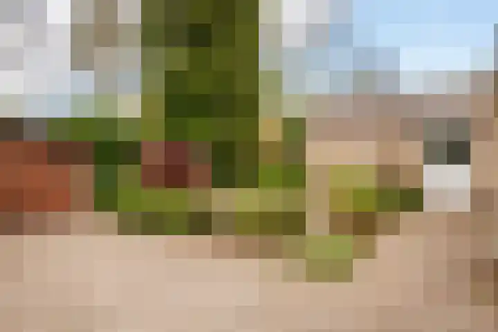 Leopoldlaan 43 Nunspeet thumbnail 30