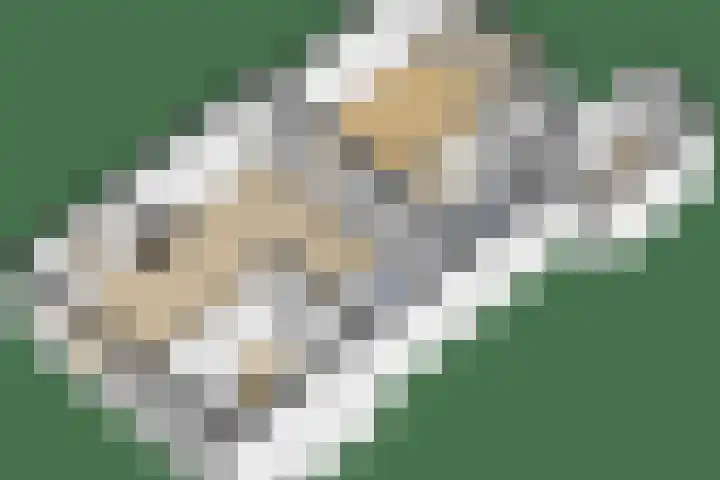 Leopoldlaan 43 Nunspeet thumbnail 33