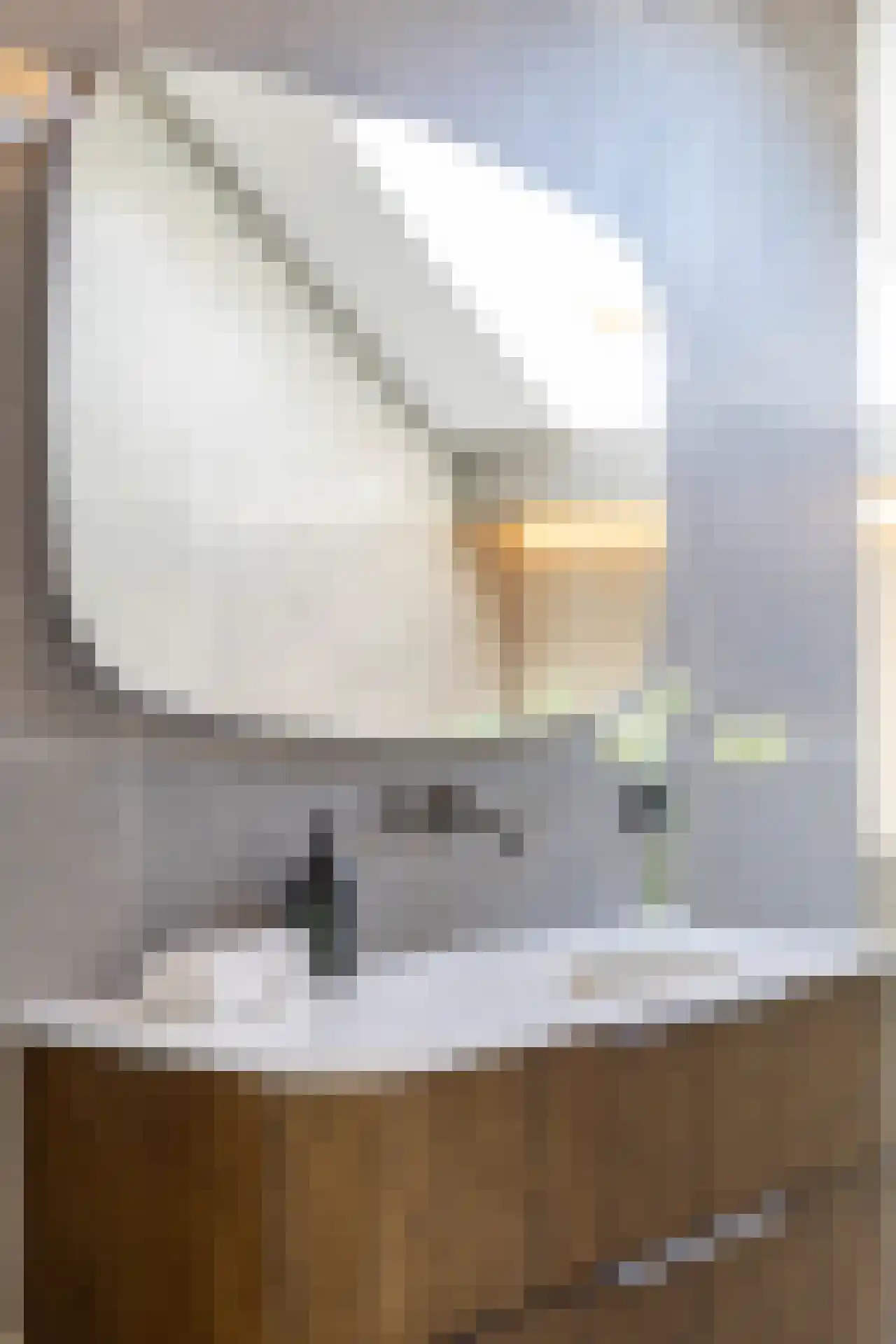 Leopoldstraat 1 E Rotterdam thumbnail 28