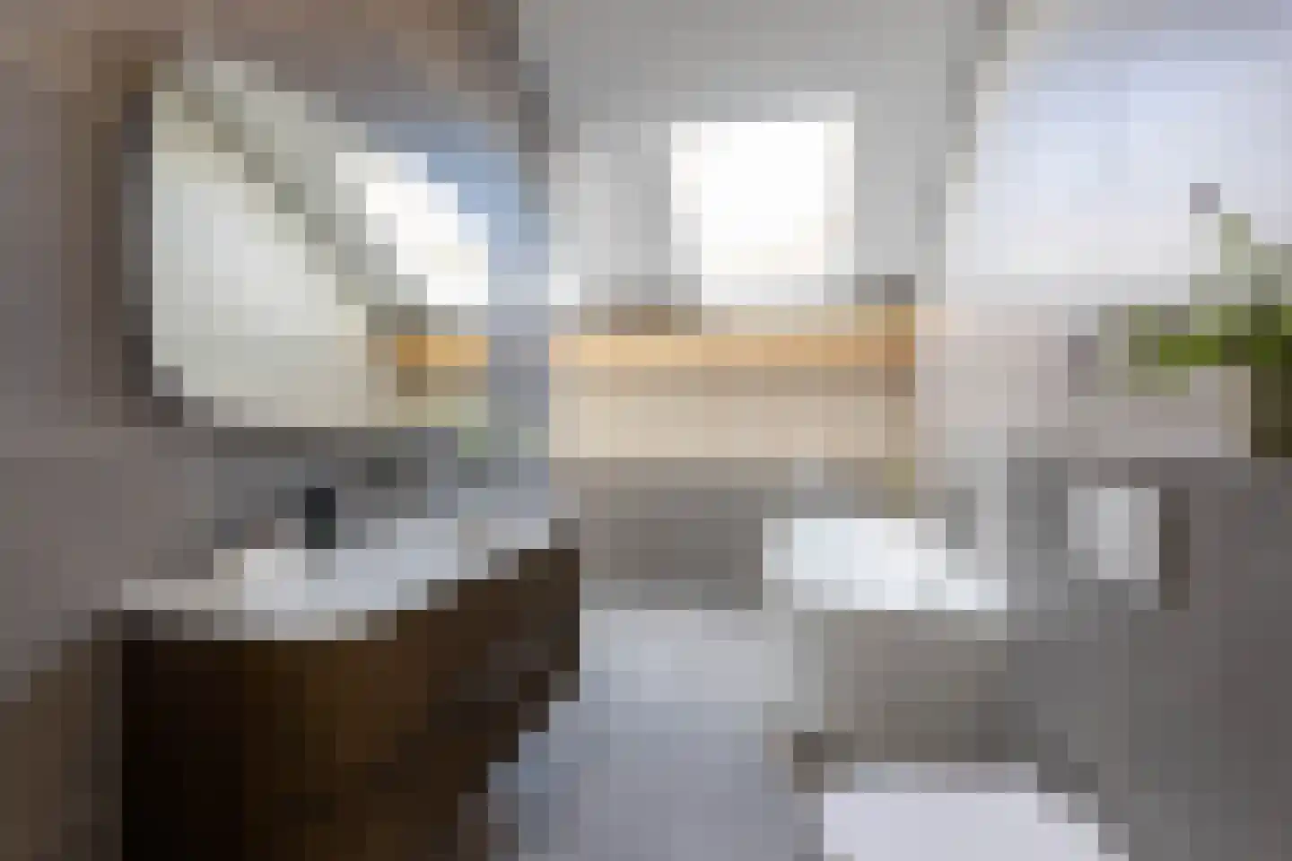 Leopoldstraat 1 E Rotterdam thumbnail 5