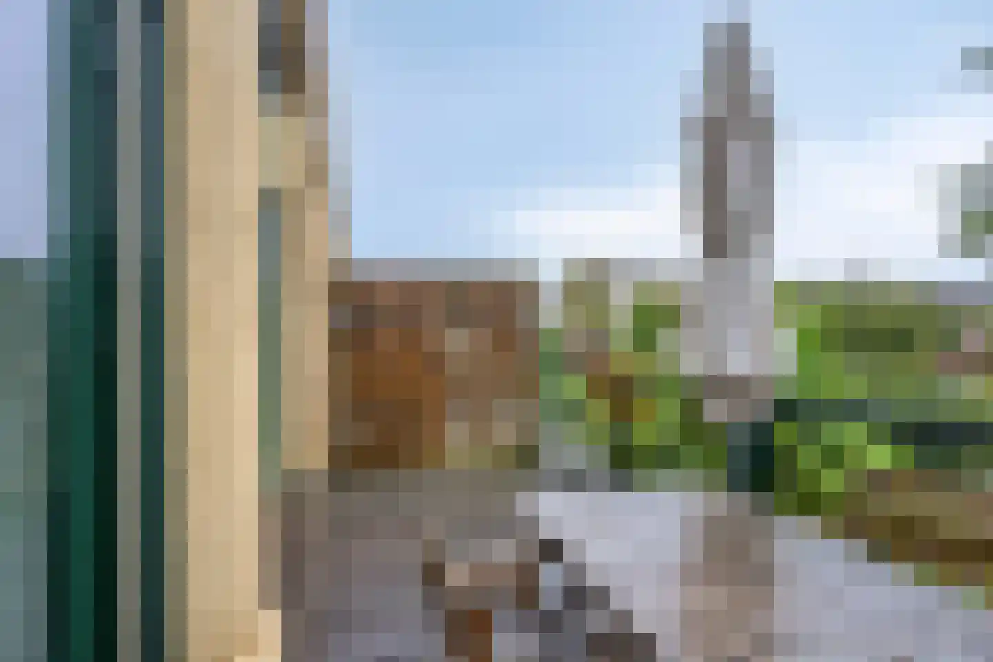 Leopoldstraat 104 Alkmaar thumbnail 23