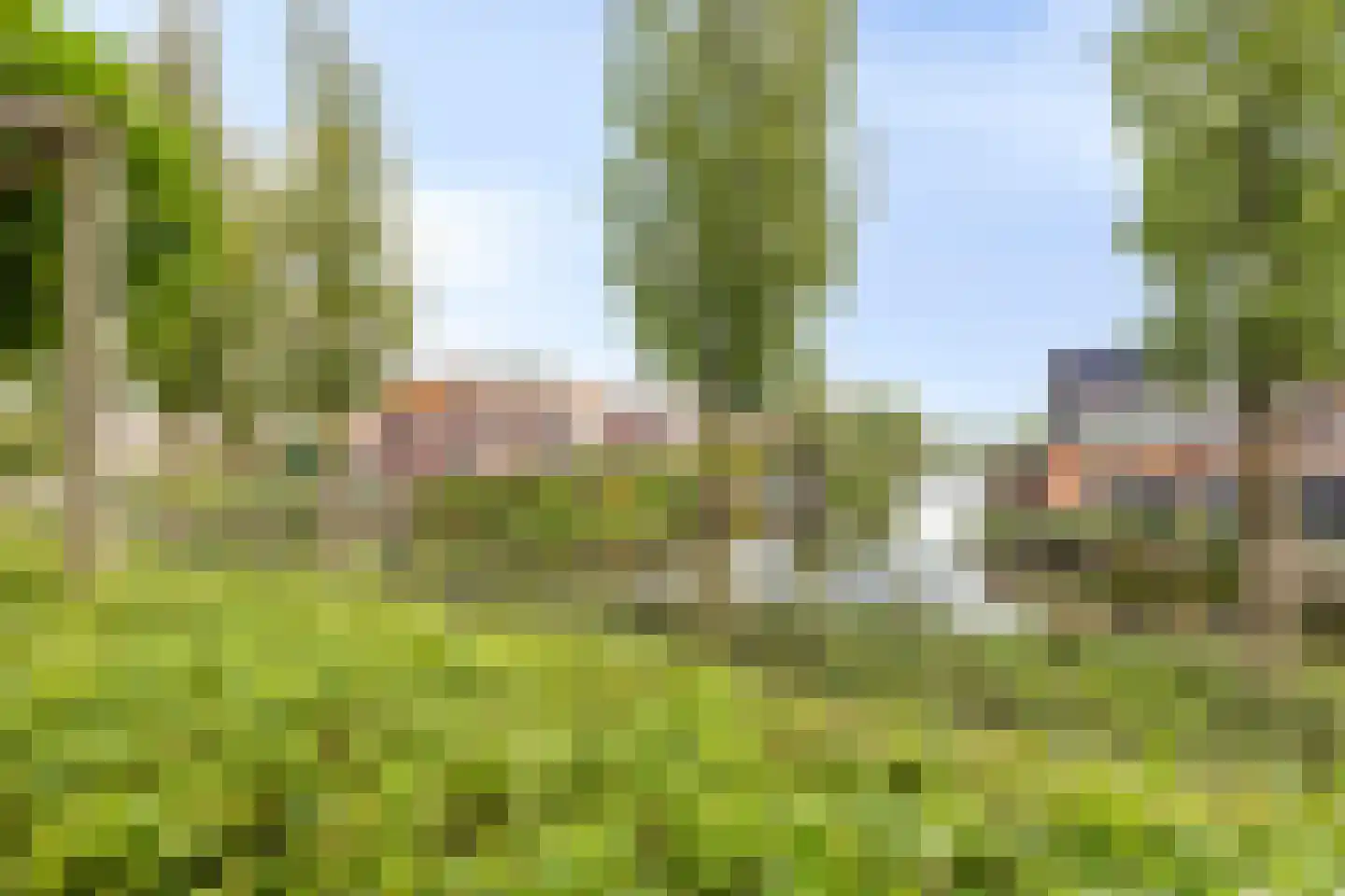 Leopoldstraat 104 Alkmaar thumbnail 47