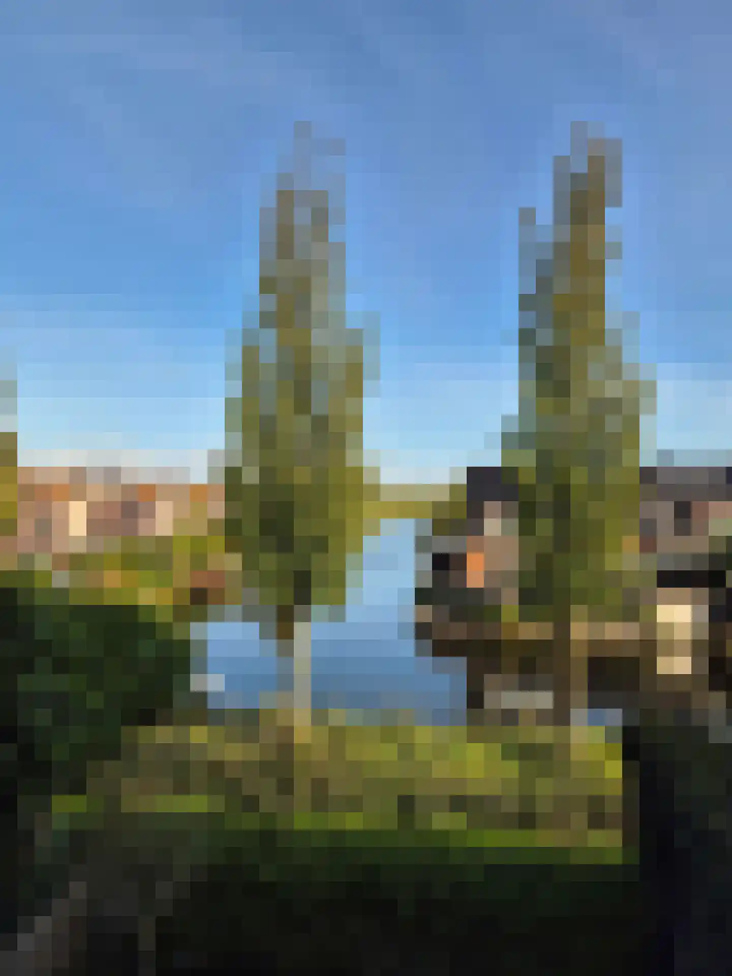 Leopoldstraat 104 Alkmaar thumbnail 50