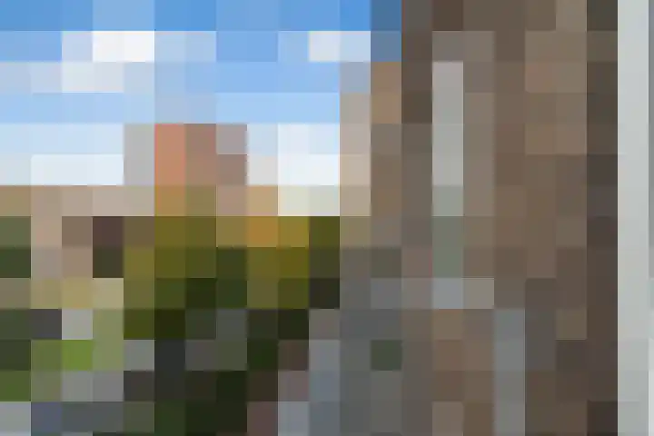 Leopoldstraat 13 D Rotterdam thumbnail 31