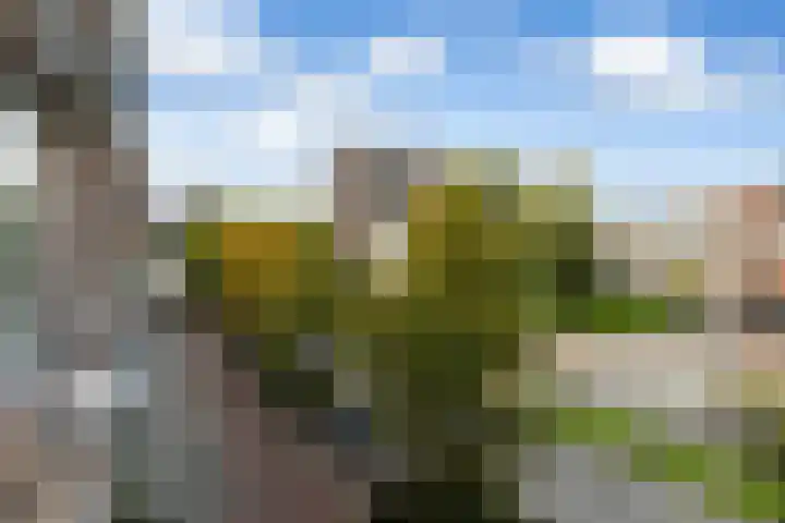 Leopoldstraat 13 D Rotterdam thumbnail 32
