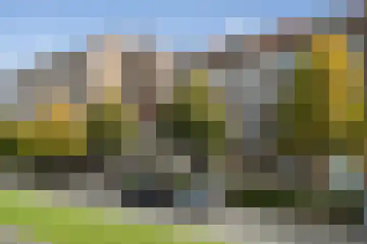 Leopoldstraat 13 D Rotterdam thumbnail 4