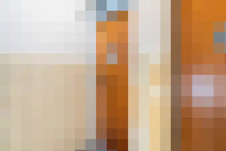 Leopoldstraat 13 D Rotterdam thumbnail 41