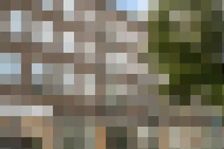Leopoldstraat 13 D Rotterdam thumbnail 5