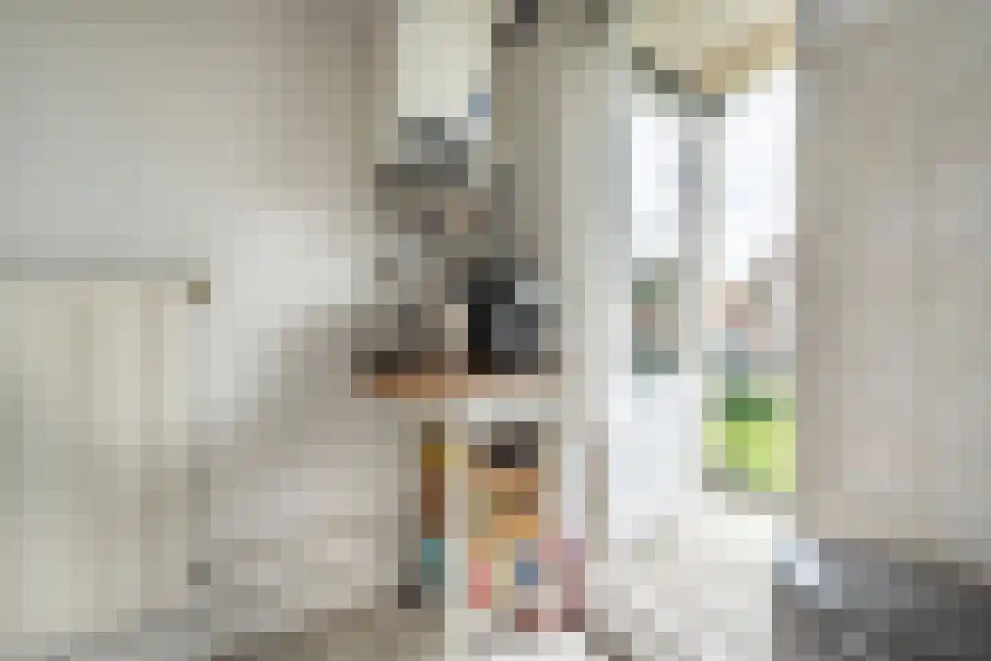 Leopoldstraat 14 B Rotterdam thumbnail 11