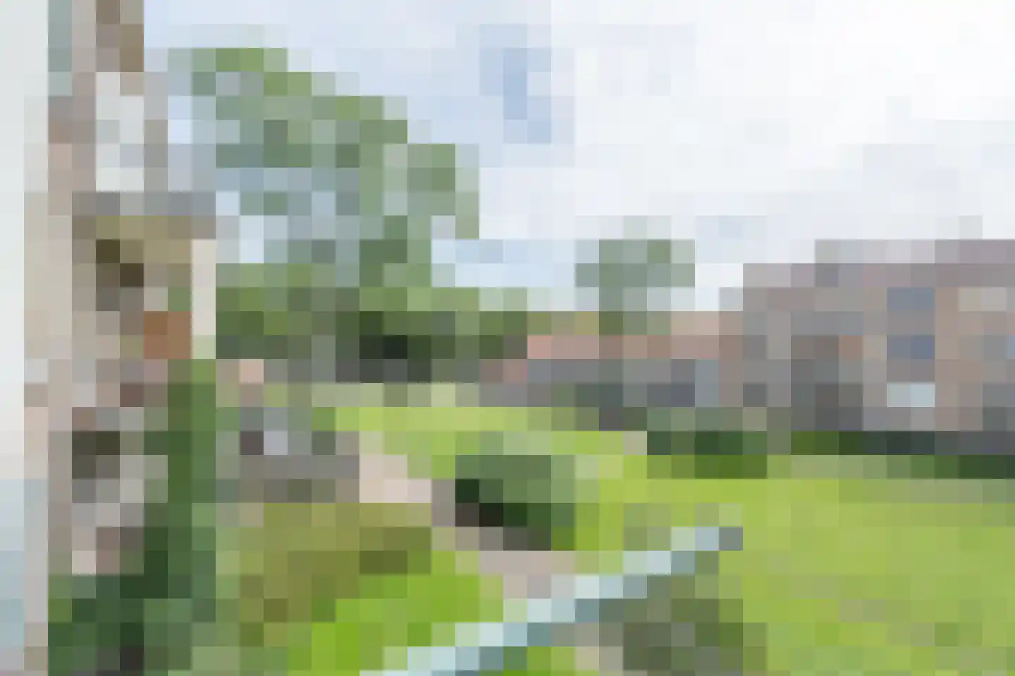 Leopoldstraat 14 B Rotterdam thumbnail 13