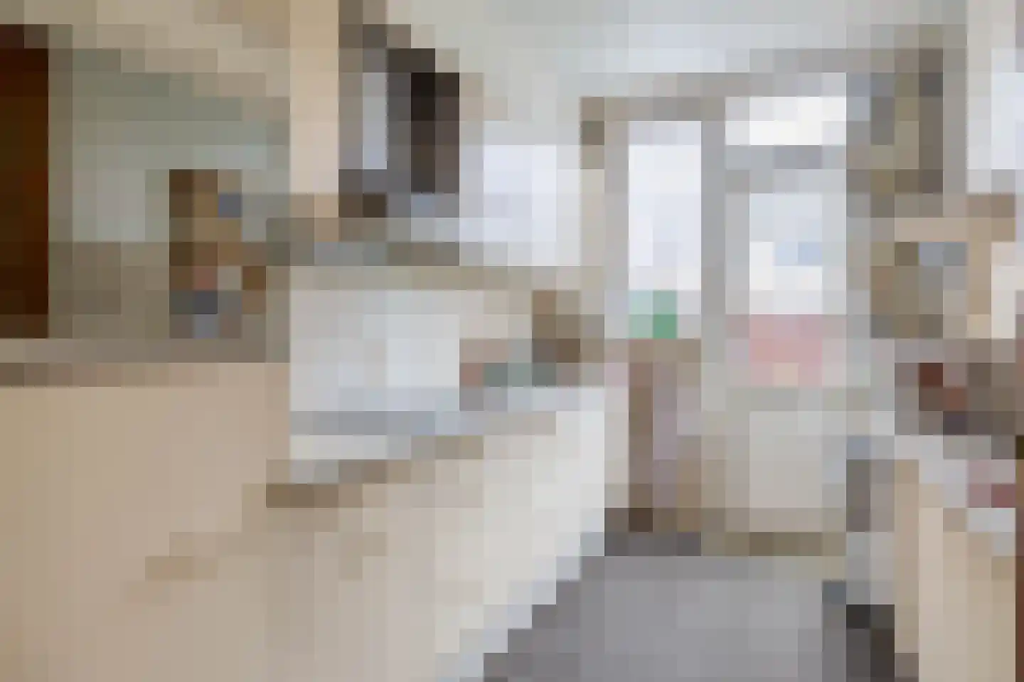 Leopoldstraat 22 Ridderkerk thumbnail 14