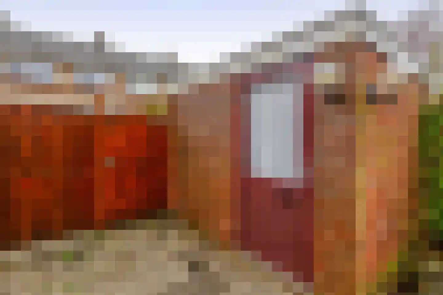 Leopoldstraat 22 Ridderkerk thumbnail 39