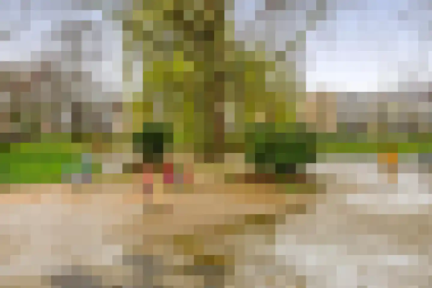 Leopoldstraat 22 Ridderkerk thumbnail 42