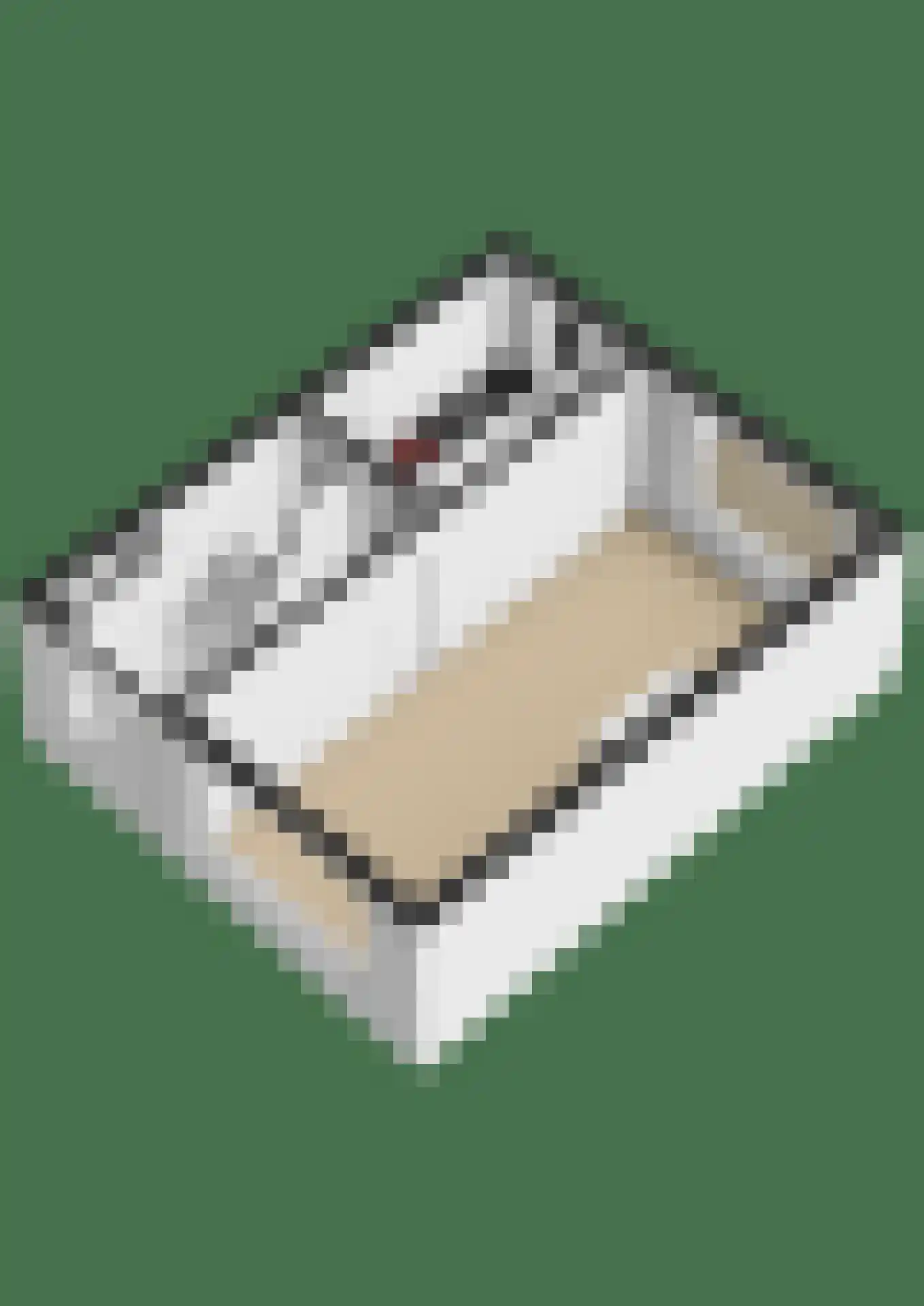 Leopoldstraat 22 Ridderkerk thumbnail 44