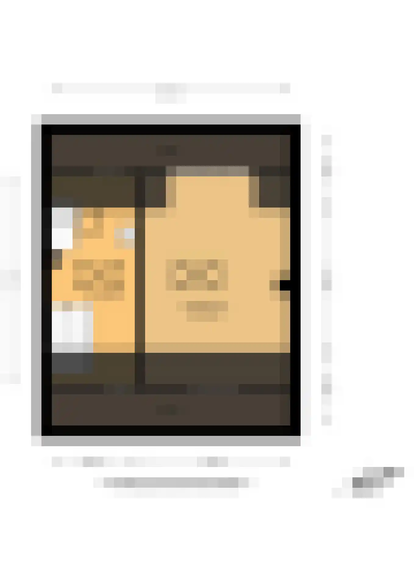 Leopoldstraat 22 Ridderkerk thumbnail 51