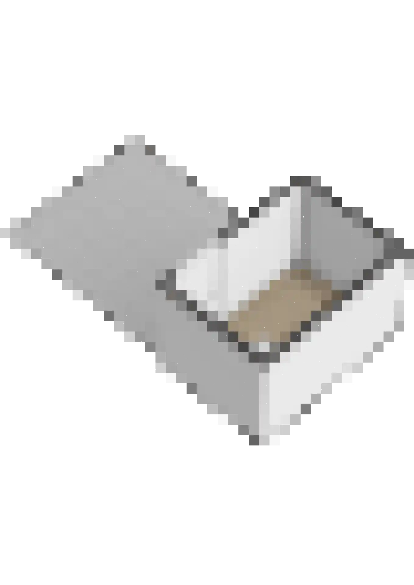 Leopoldstraat 26 Ridderkerk thumbnail 42