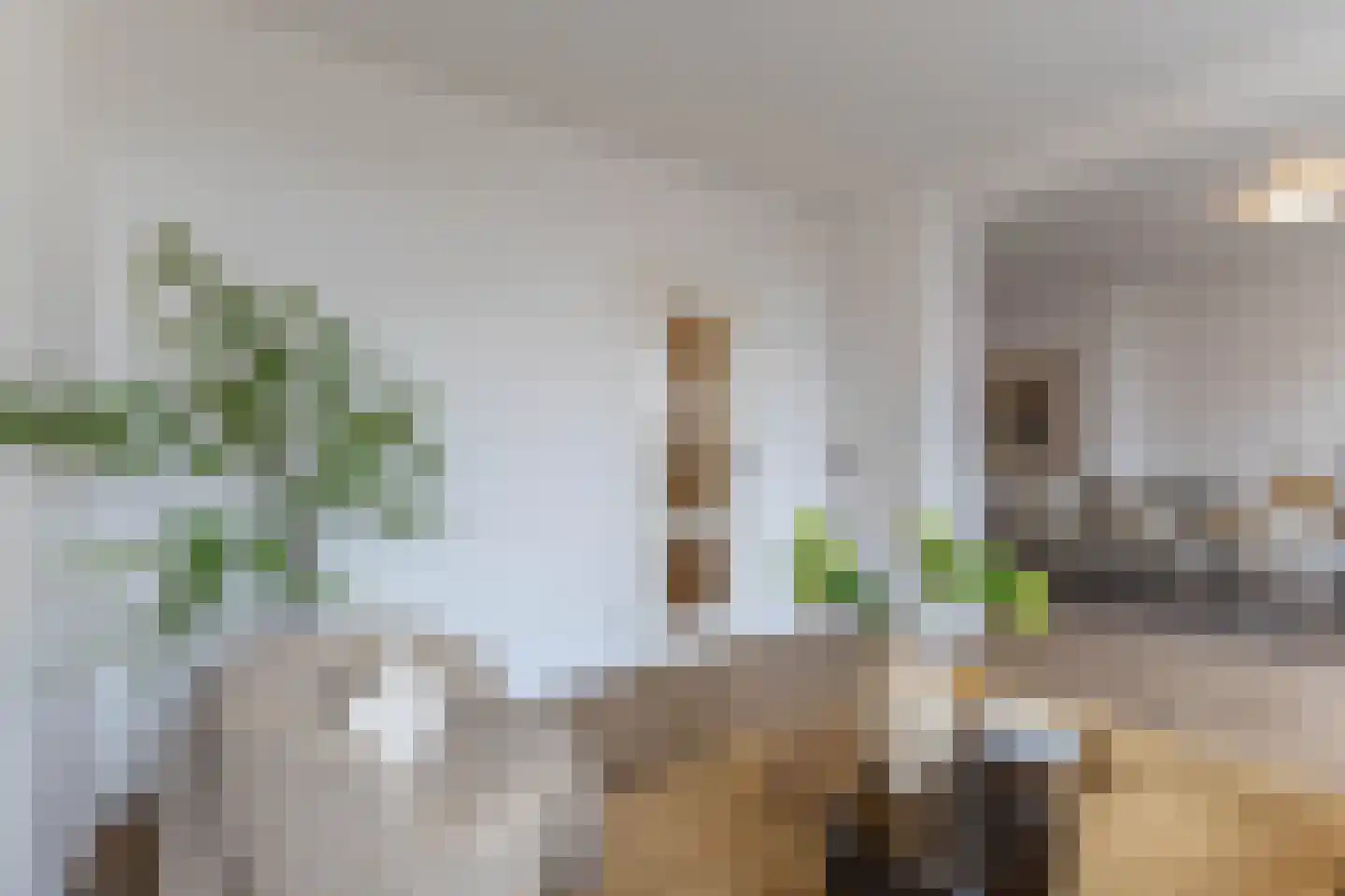 Leopoldstraat 3 E Rotterdam thumbnail 14