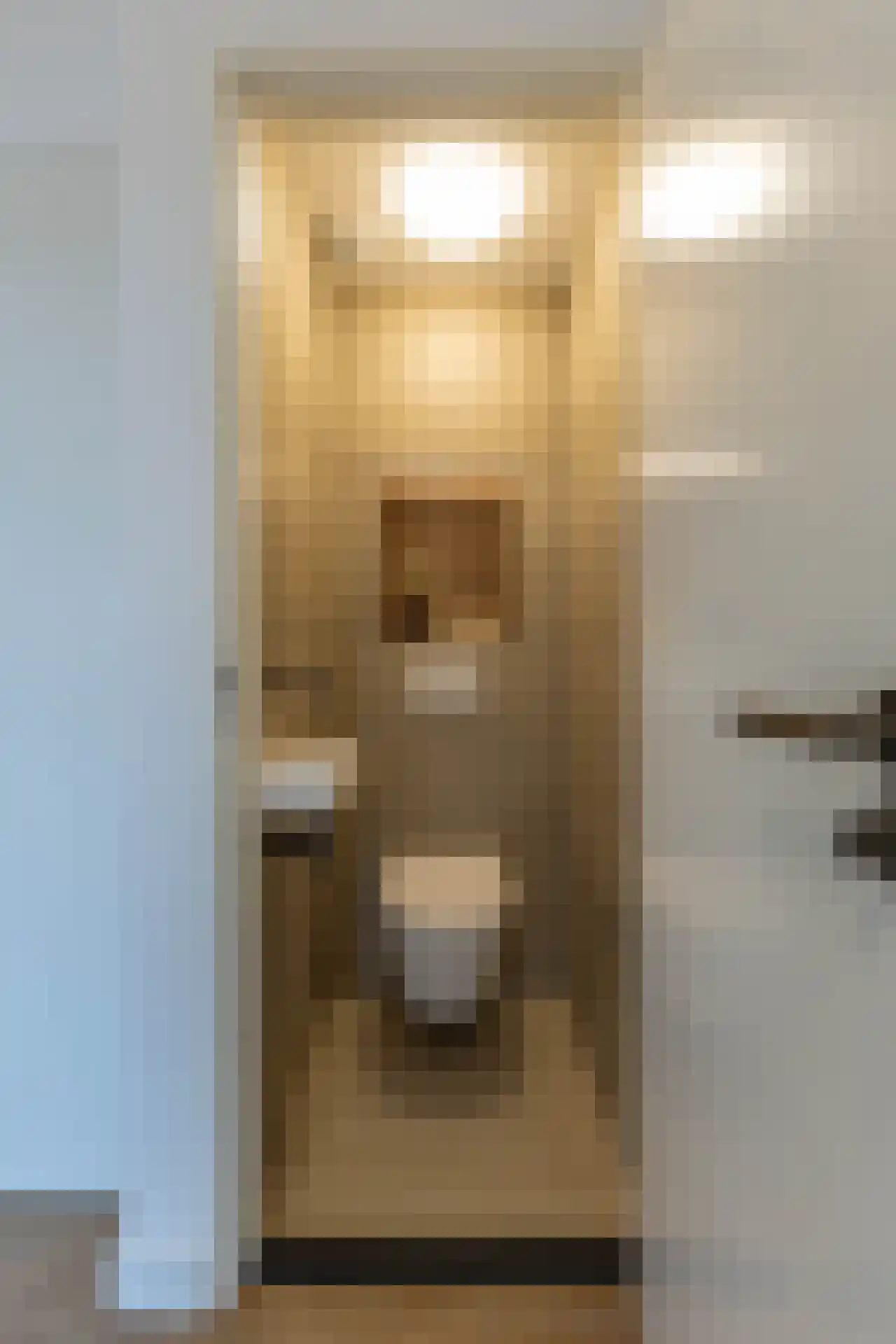 Leopoldstraat 3 E Rotterdam thumbnail 31