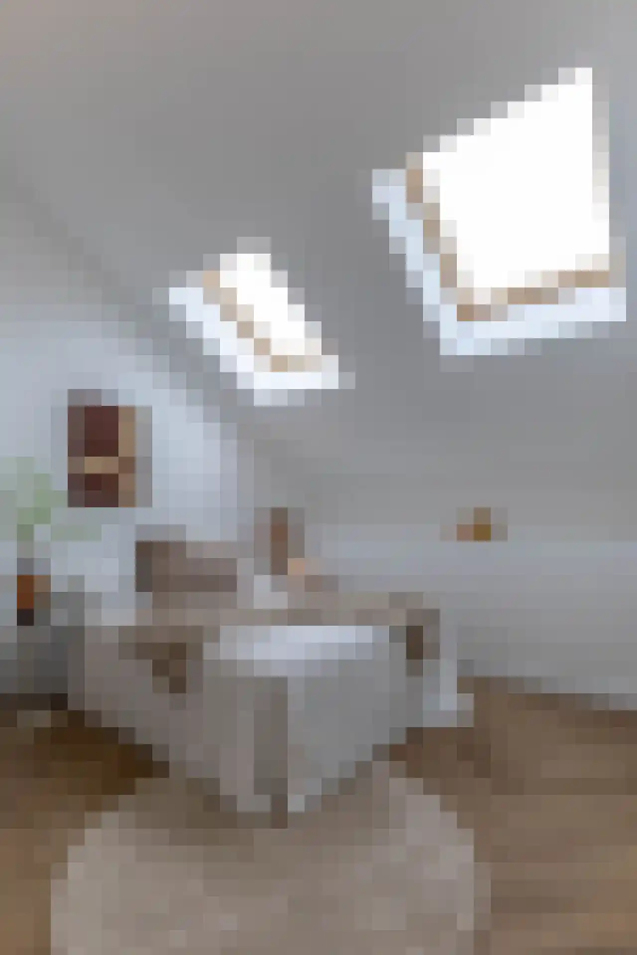 Leopoldstraat 3 E Rotterdam thumbnail 37