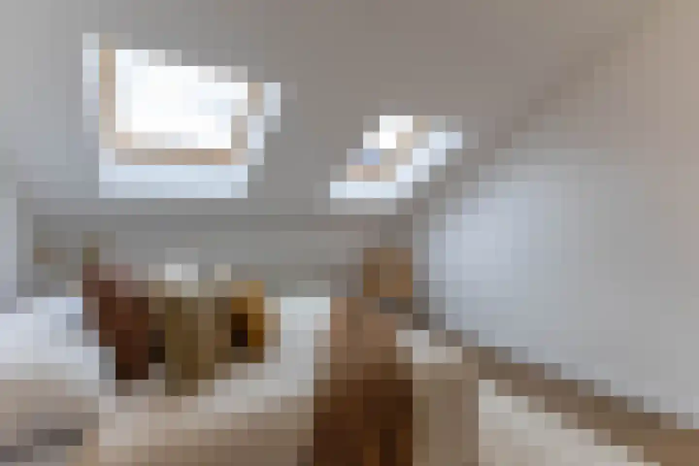 Leopoldstraat 3 E Rotterdam thumbnail 42