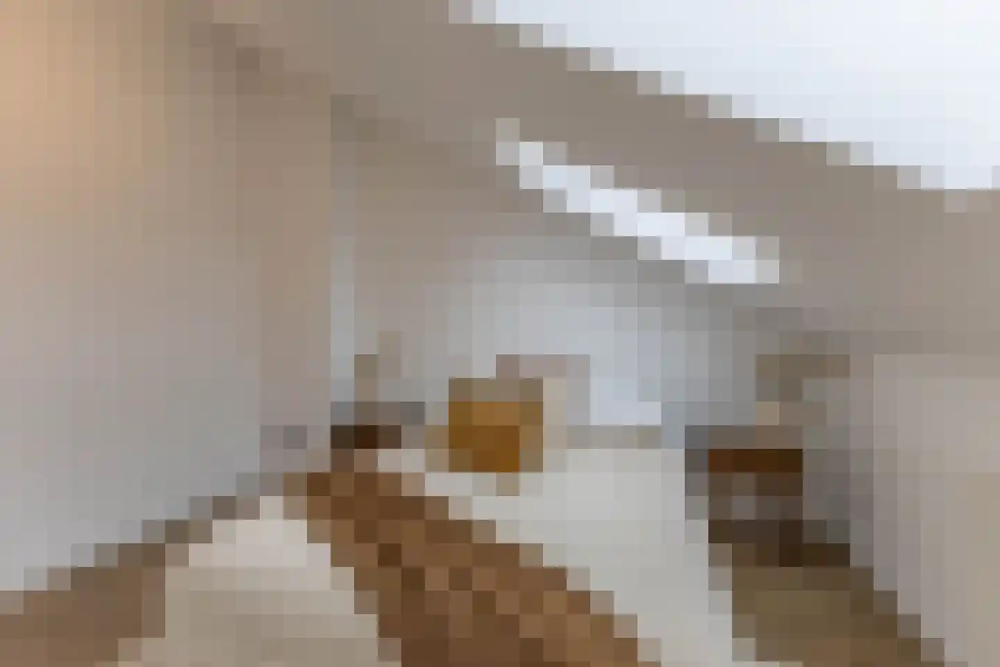 Leopoldstraat 3 E Rotterdam thumbnail 43