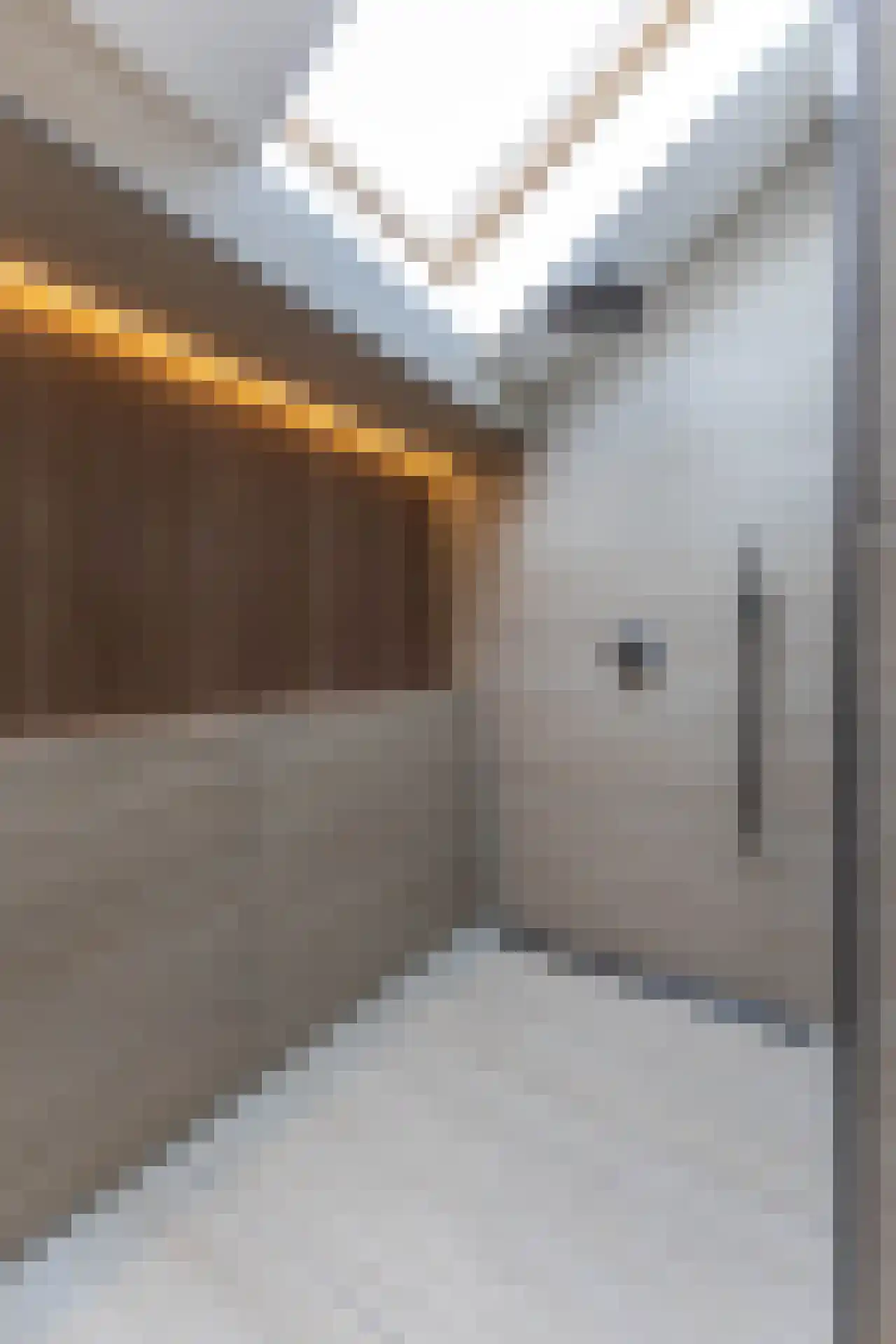 Leopoldstraat 3 E Rotterdam thumbnail 46