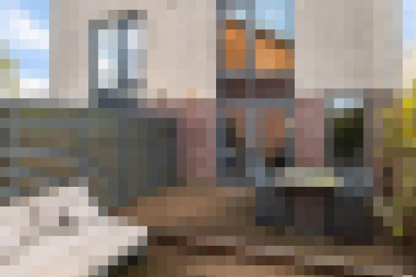 Leopoldstraat 37 Alkmaar thumbnail 12