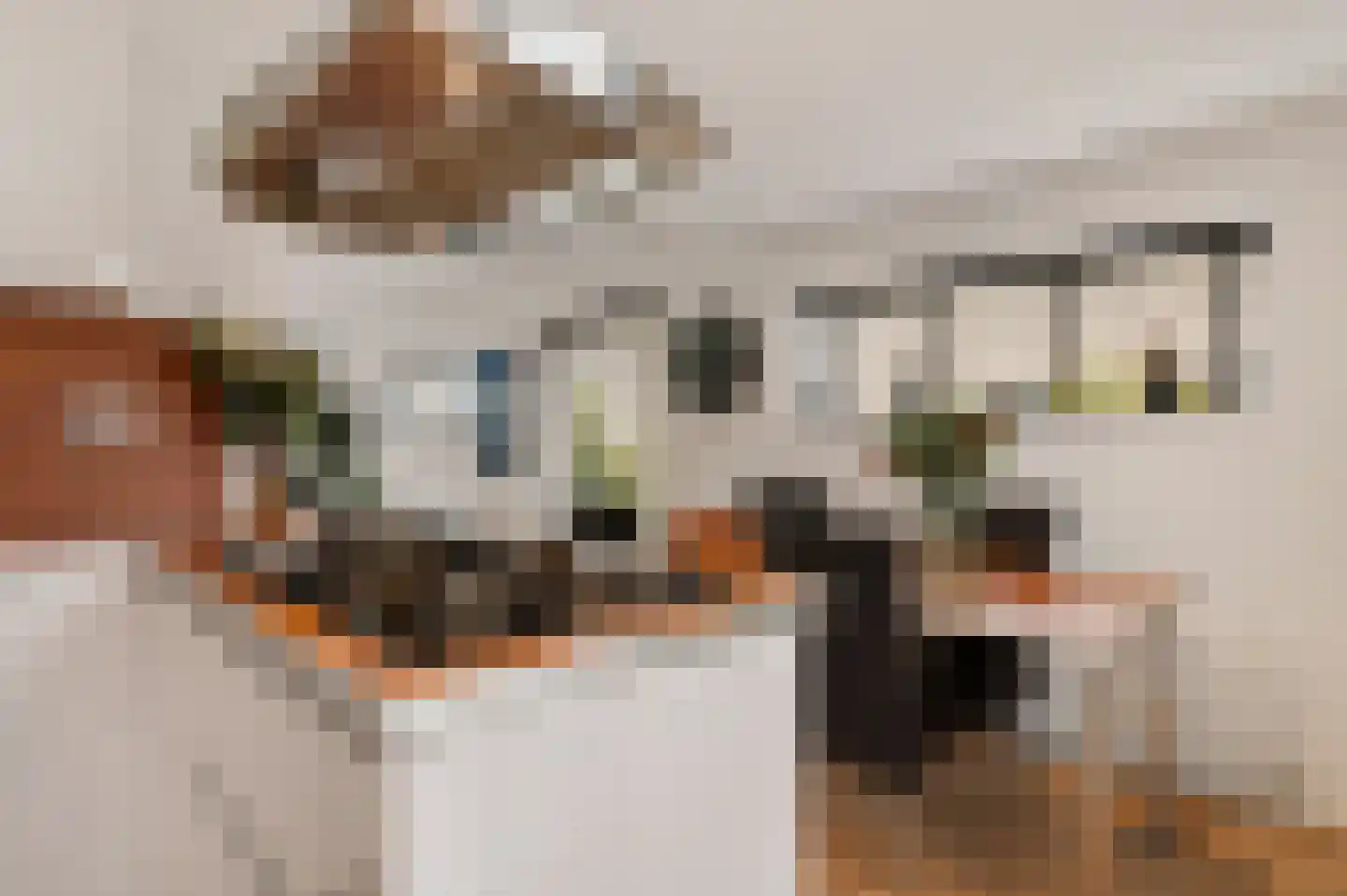 Leopoldstraat 37 Alkmaar thumbnail 19