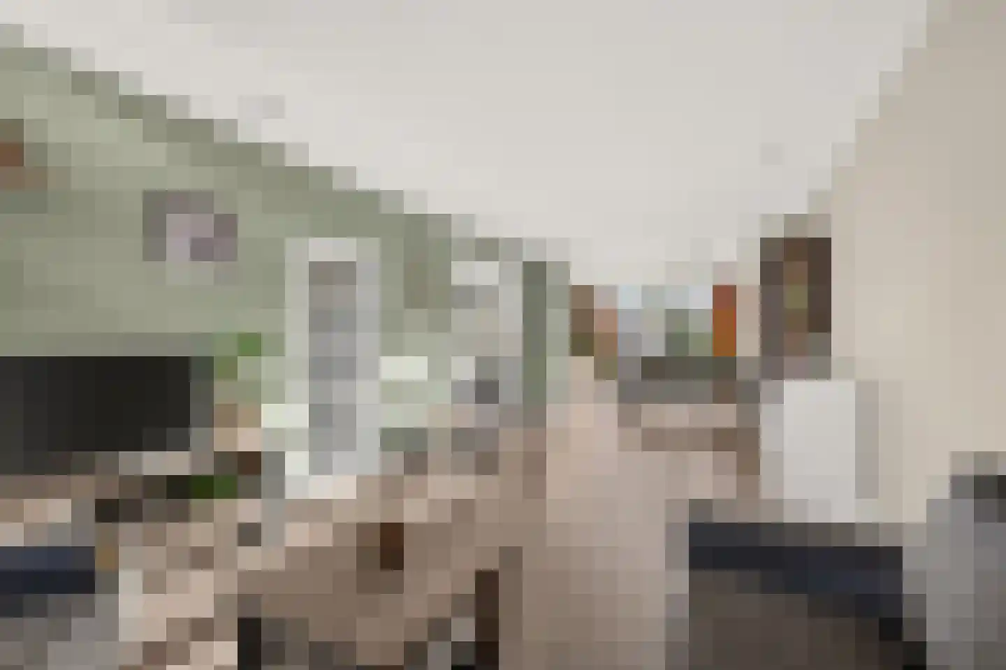 Leopoldstraat 43 Ridderkerk thumbnail 7