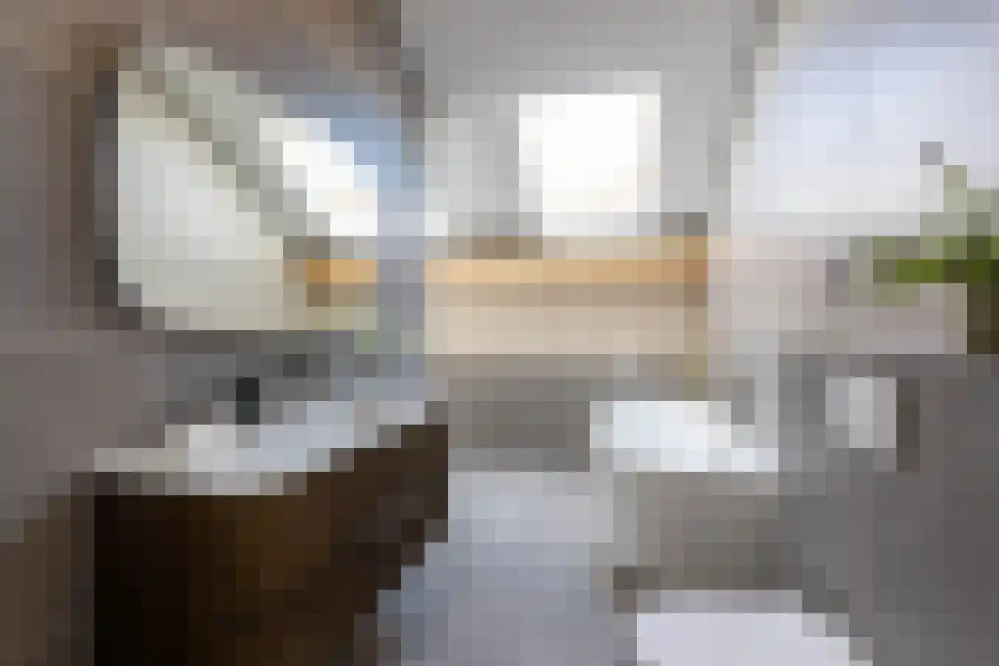Leopoldstraat 5 E Rotterdam thumbnail 7