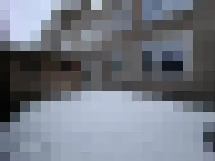 Leopoldstraat 6 A Rotterdam foto 2